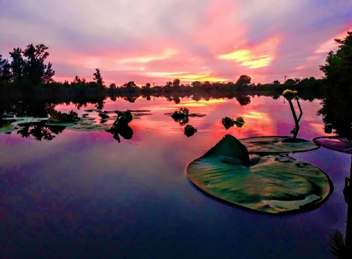 Wildlife Views & Fishing *