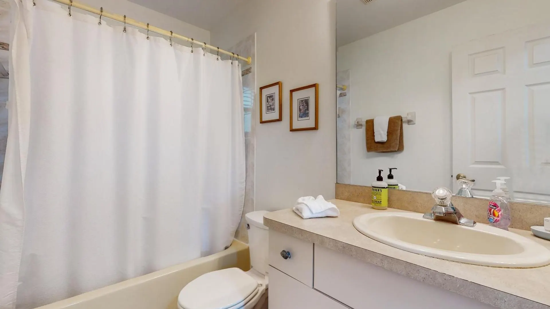 Haven Cape Coral