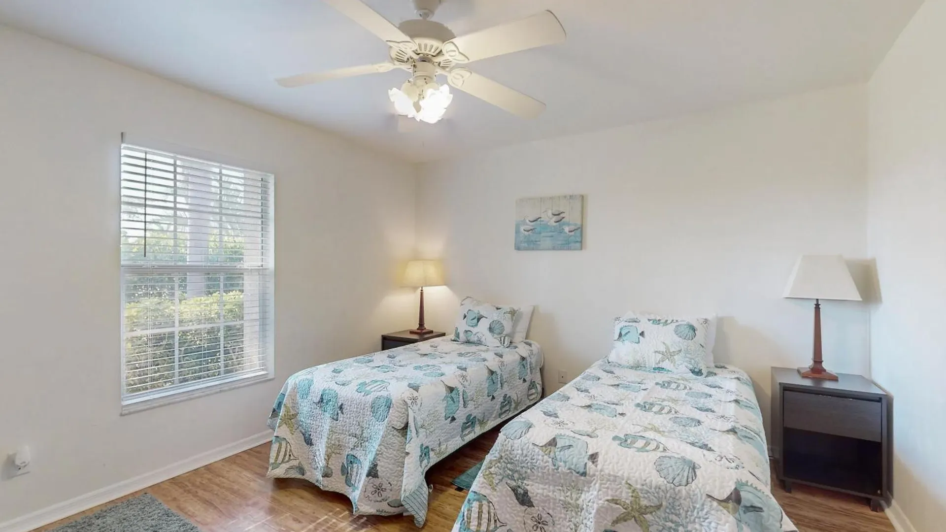 Haven * Cape Coral