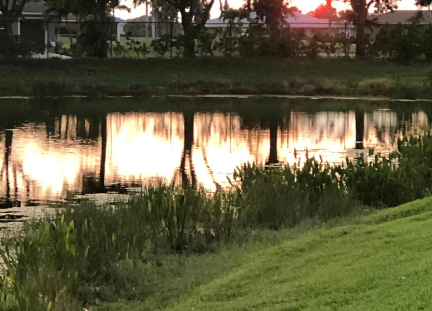 Tropical House Style Living Pet Friendly Villa Cape Coral
