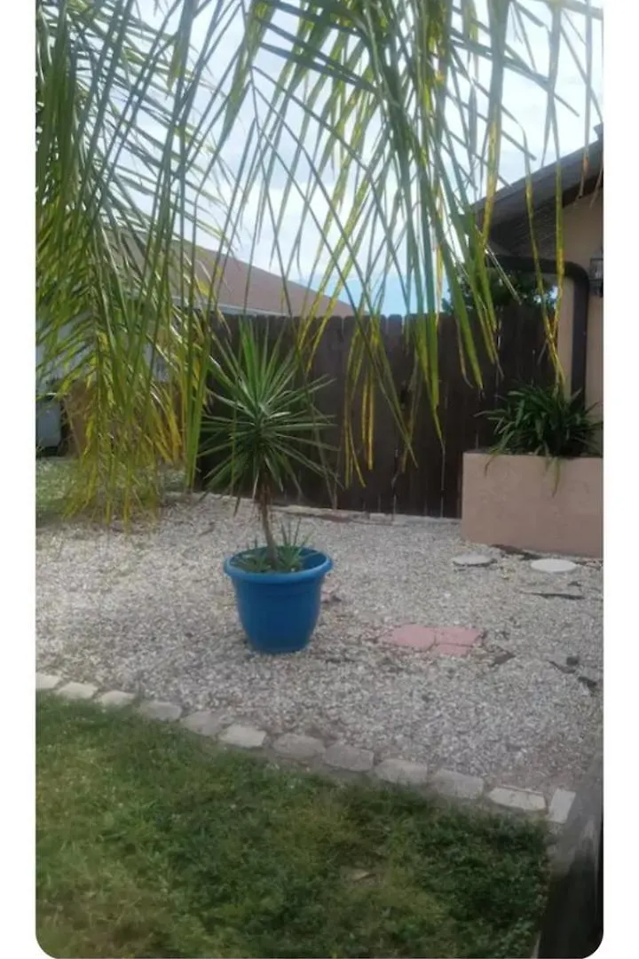 Paciffi Dream Lis Apartment