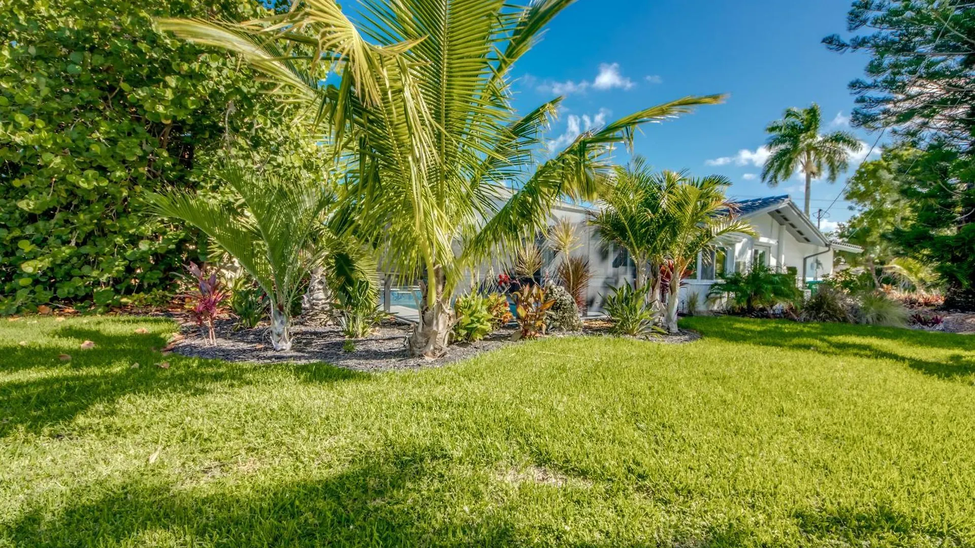 De Vil * Cape Coral