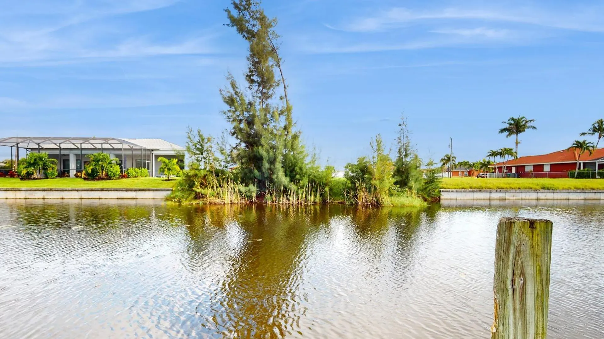 Waterfront Palms