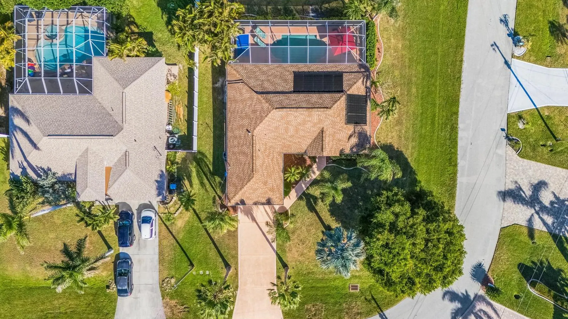 Sunshine & Palms Cape Coral