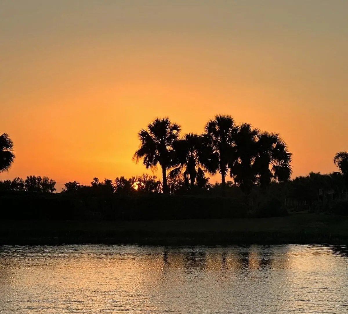 Sandy Bottoms! Cape Coral
