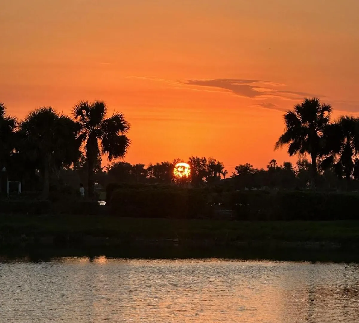 Sandy Bottoms! Cape Coral