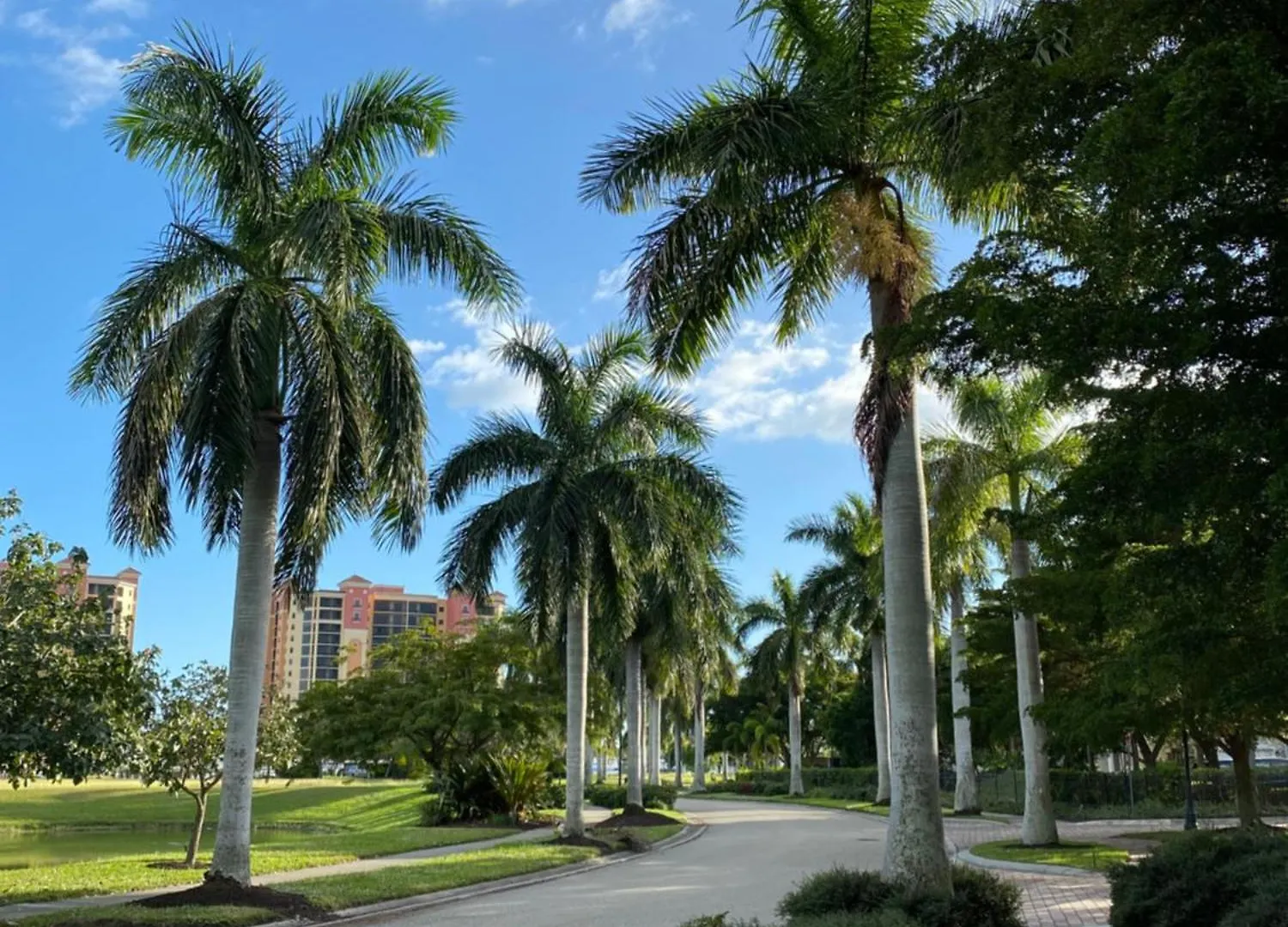 Beautiful Marina View Cape Coral