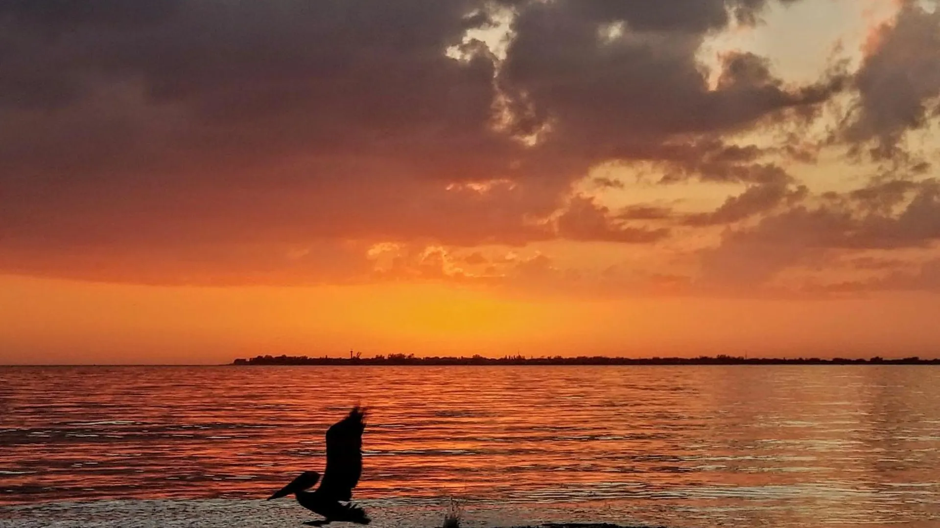 Beautiful Marina View Cape Coral