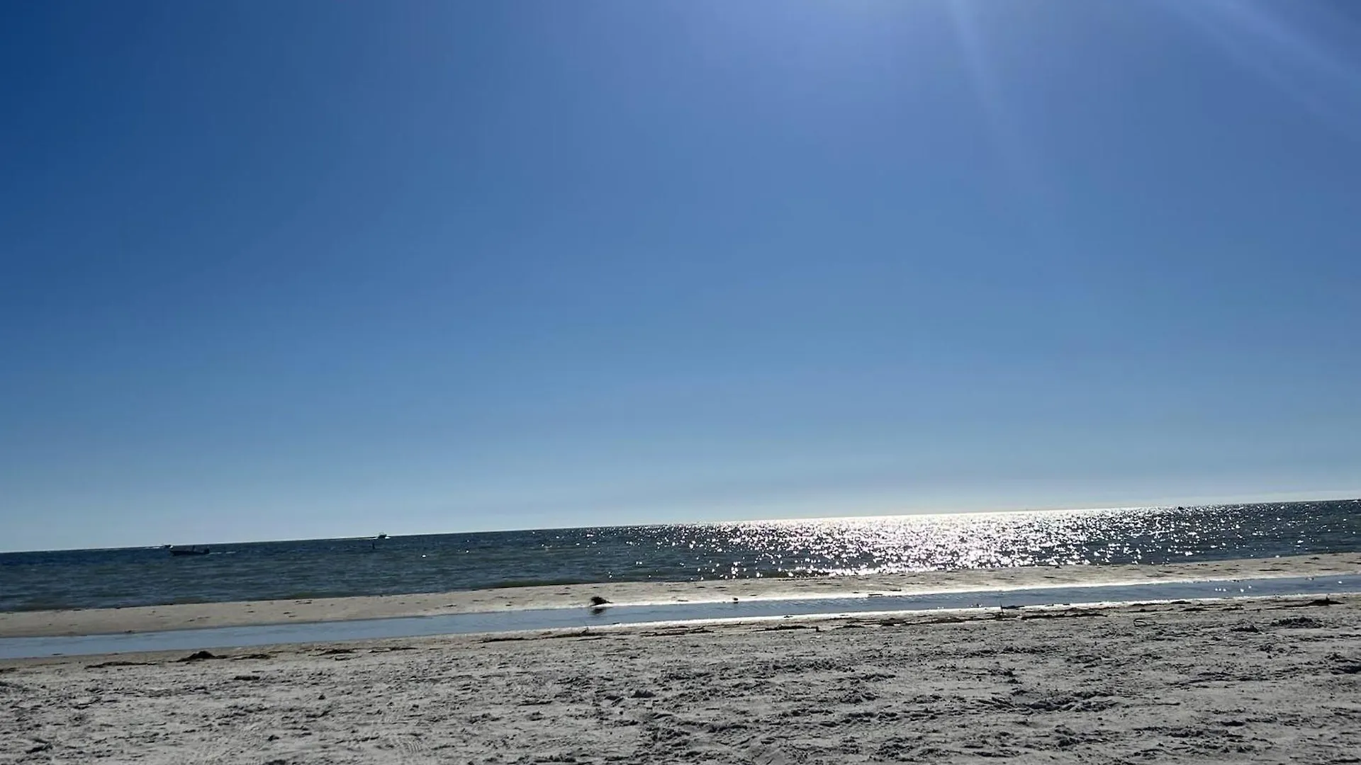 Rocks Cape Coral