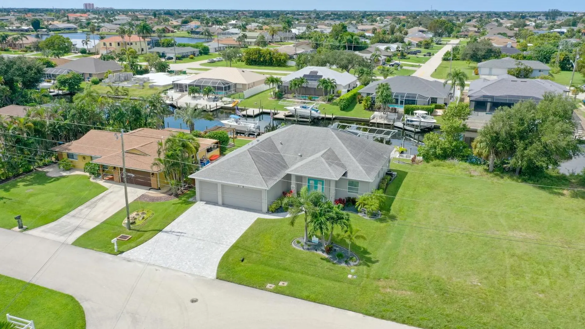 Dandelion * Cape Coral