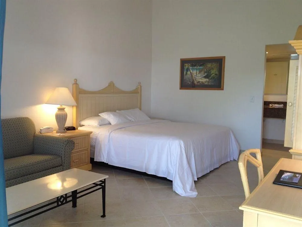 Dolphin Key -