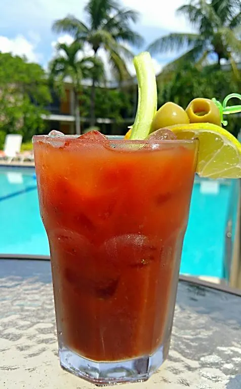 Dolphin Key - Cape Coral