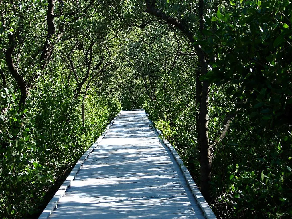 Buttonwood Bay Sw Cape - Waterfront Private Locally Managed *