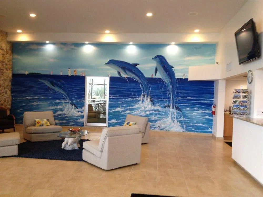 Dolphin Key -