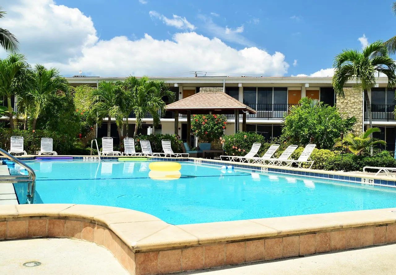 Dolphin Key -
