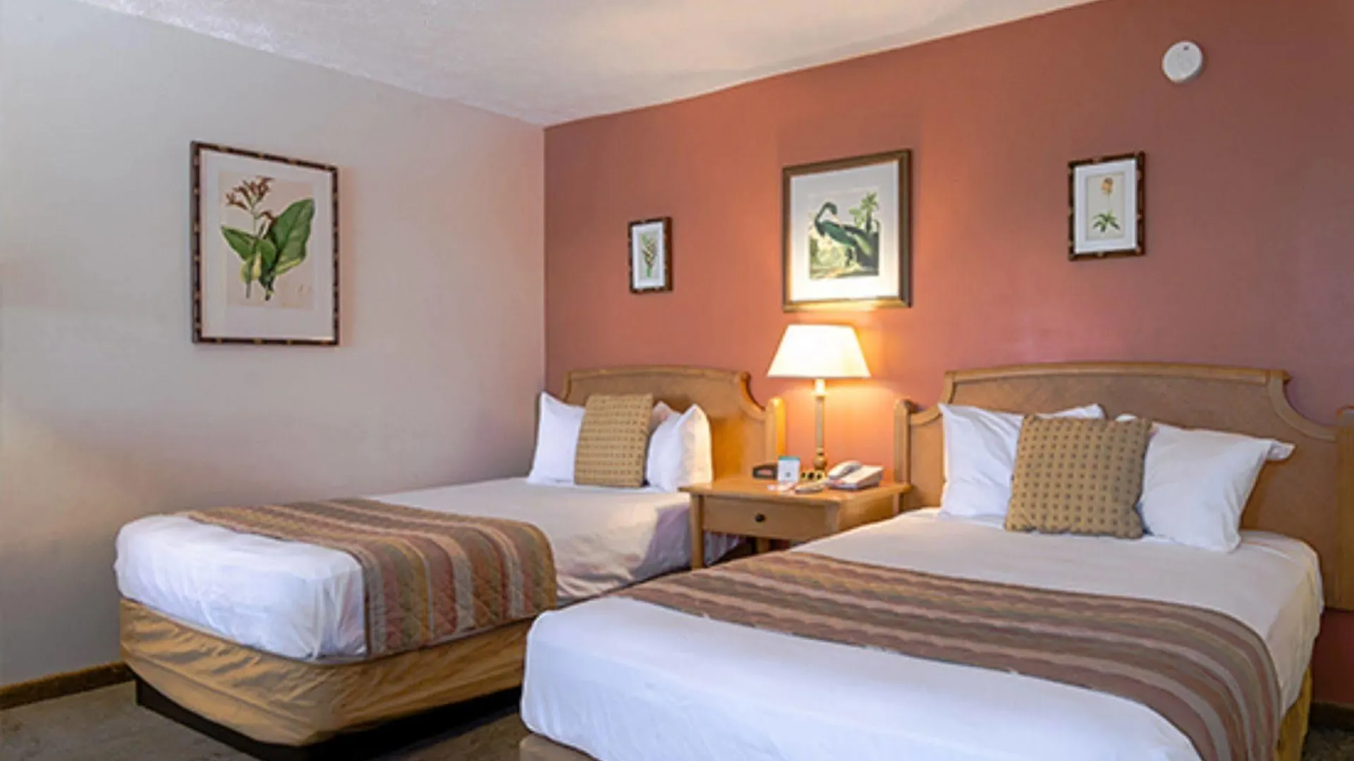 Oyo Waterfront Hotel- Myers, Fl Cape Coral