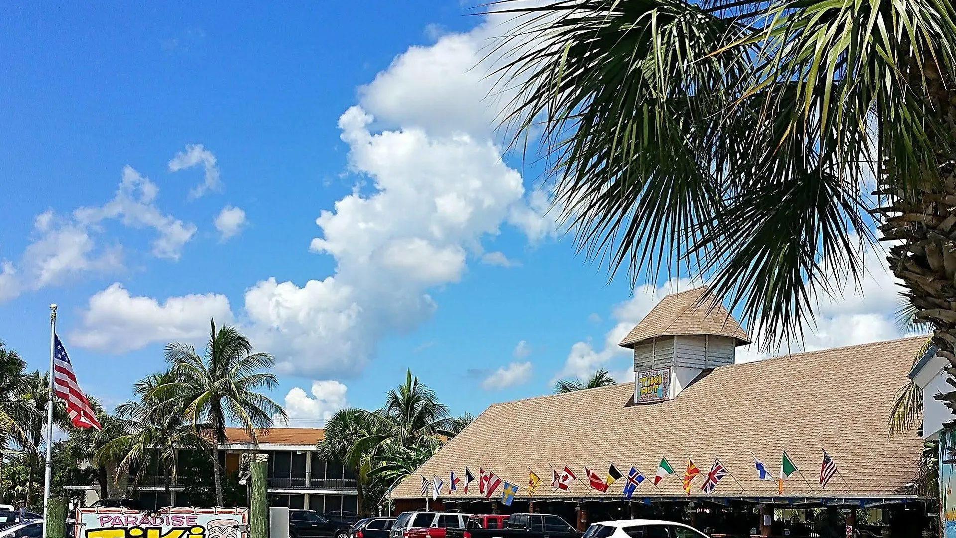 Dolphin Key -