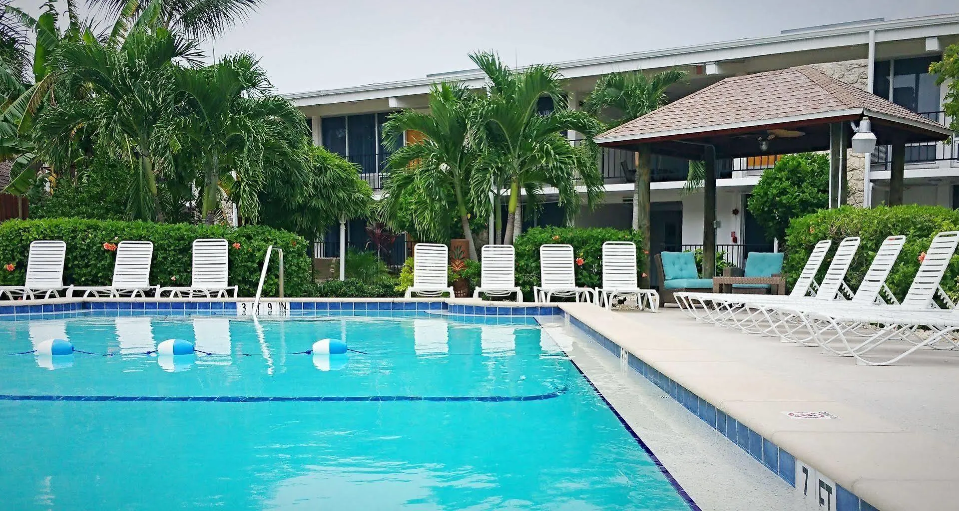Dolphin Key -