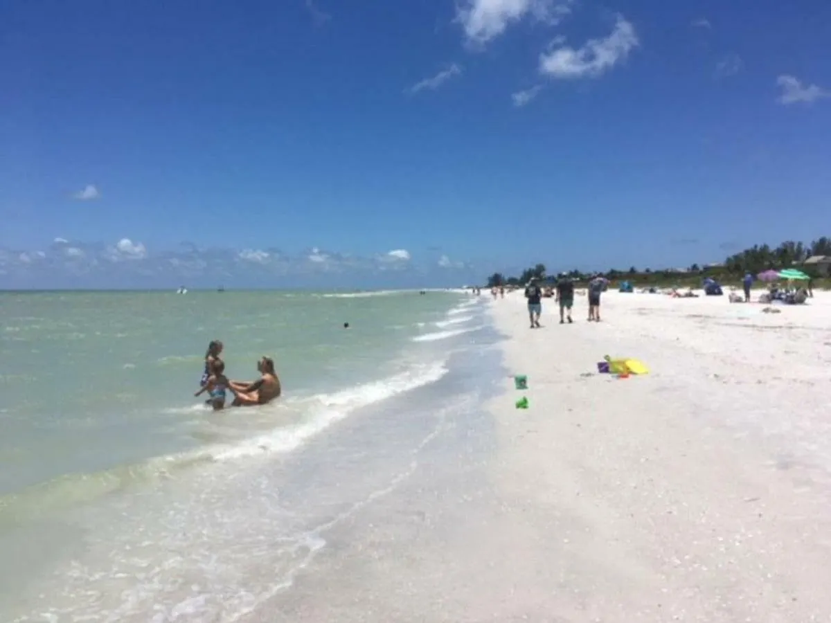 Bohemia * Cape Coral