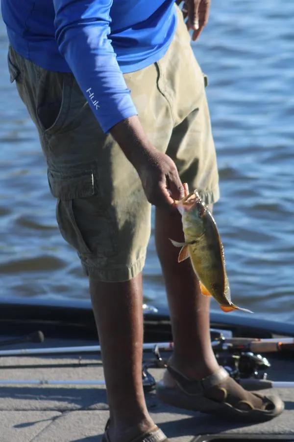 Wildlife Views & Fishing * קייפ קורל