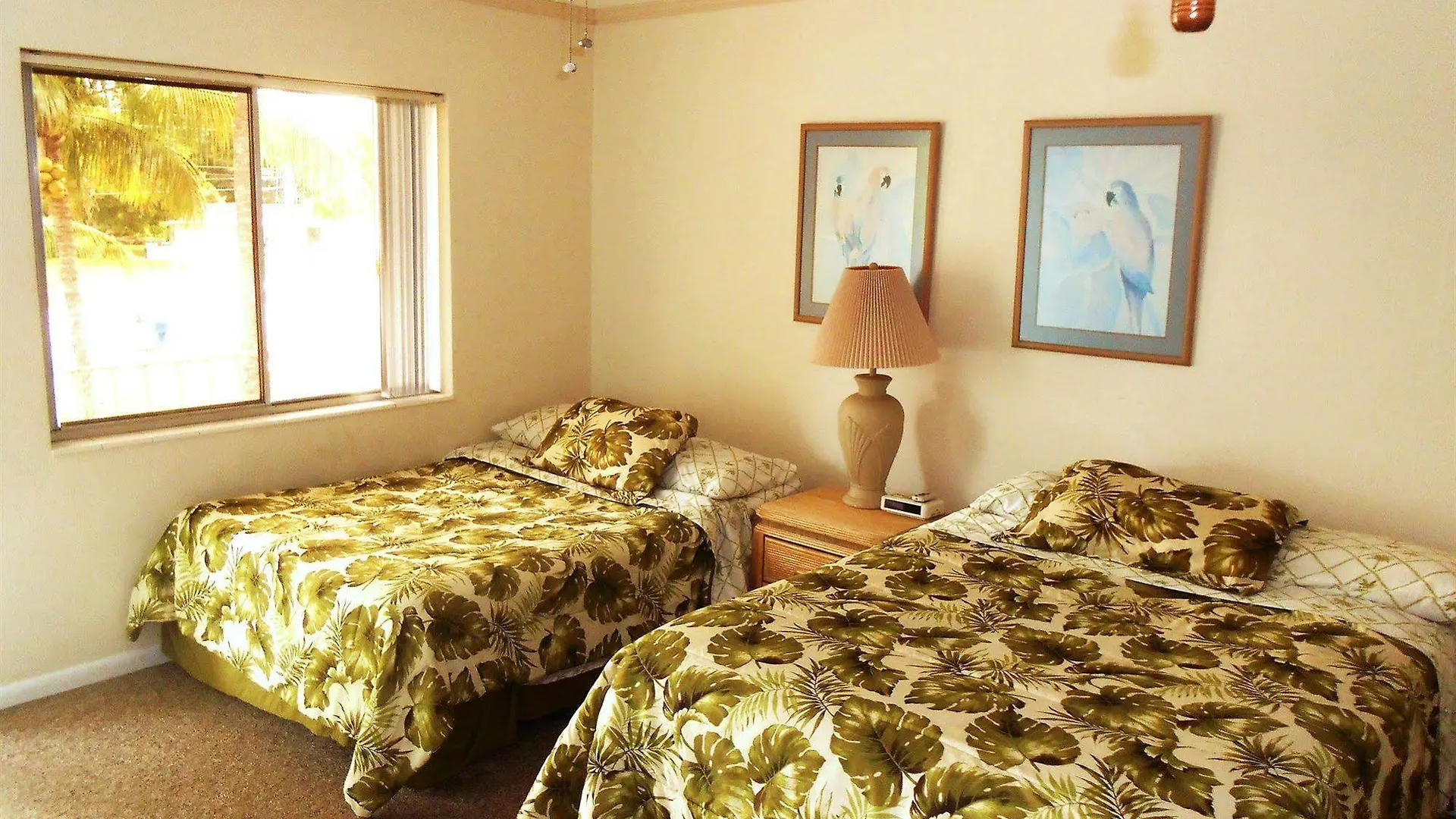 Resort Hideaway Waterfront